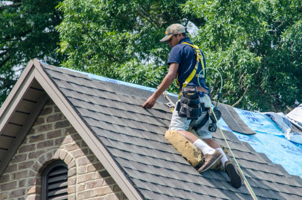 Best Storm Damage Roof Repair  in View Park Windsor Hills, CA